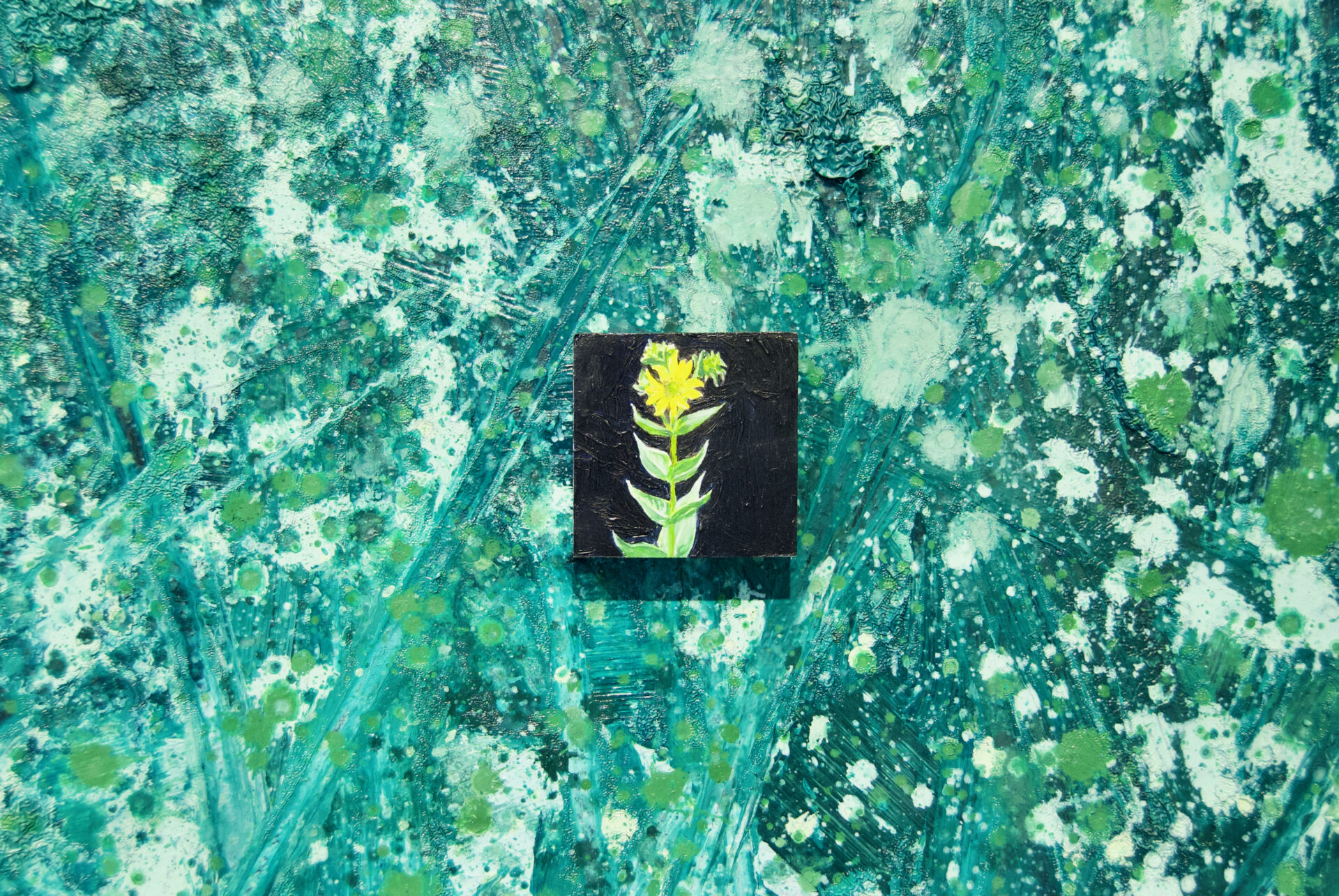 We are plants, Galerie Bezirk Oberbayern, 2023 Foto von Reiner Heidorn